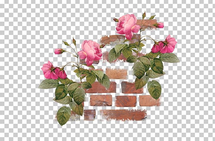 Garden Roses Cut Flowers Floral Design PNG, Clipart, Artificial Flower, Cut Flowers, Durian, Durian 27 0 1, Floral Design Free PNG Download