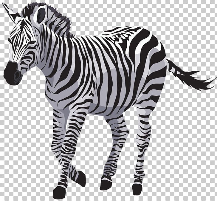 Quagga Zebra Horse Wildlife PNG, Clipart, Animal, Animal Figure, Animals, Art, Big Cats Free PNG Download
