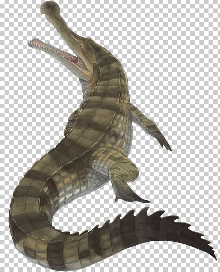 Crocodile Sarcosuchus Deinosuchus Kaprosuchus Spinosaurus PNG, Clipart, Alligator, Animals, Cretaceous, Crocodile, Crocodilia Free PNG Download