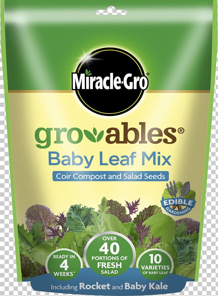 Mesclun Caesar Salad Herb Vegetarian Cuisine Miracle-Gro PNG, Clipart, Basil, Caesar Salad, Food, Food Drinks, Grass Free PNG Download