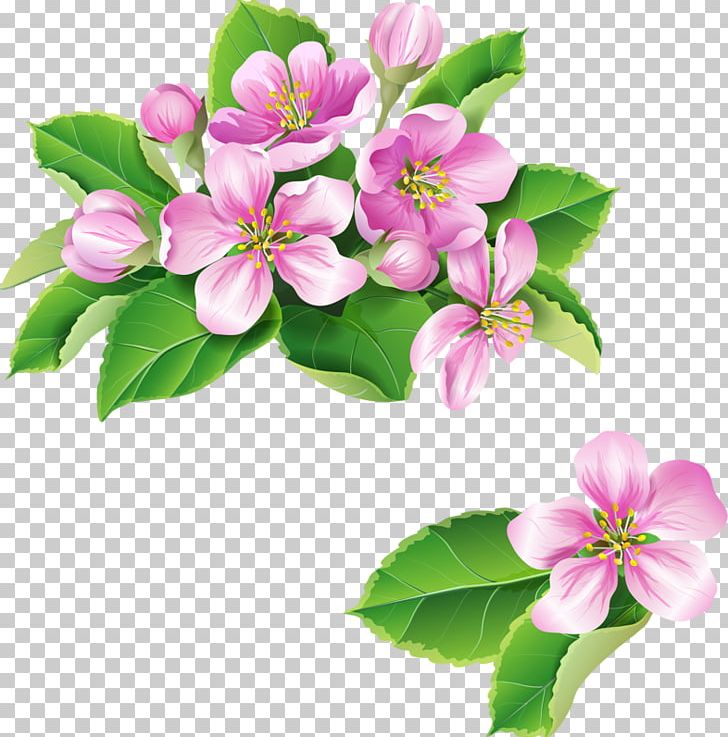 Paper Pink Flowers PNG, Clipart, Branch, Color, Cut Flowers, Encapsulated Postscript, Floral Design Free PNG Download