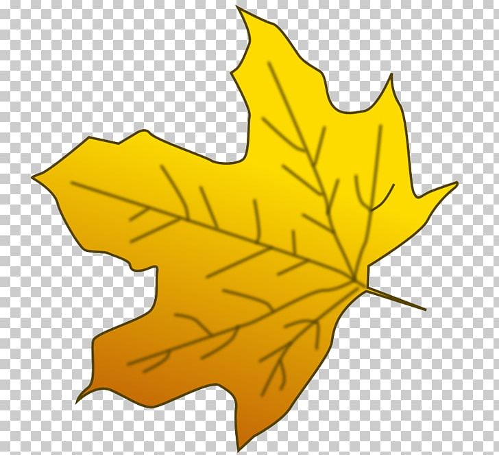 Sugar Maple Red Maple Maple Leaf Yellow PNG, Clipart, Autumn, Autumn Leaf Color, Flowering Plant, Free Content, Green Free PNG Download