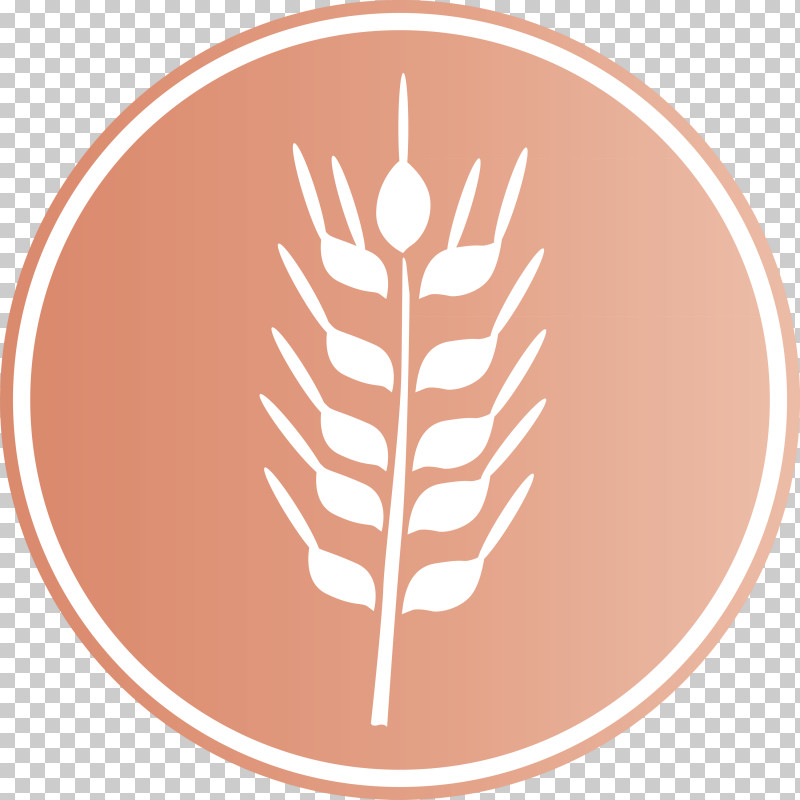 Oats Wheat Oats Logo PNG, Clipart, Biology, Leaf, Line, Meter, Oats Free PNG Download