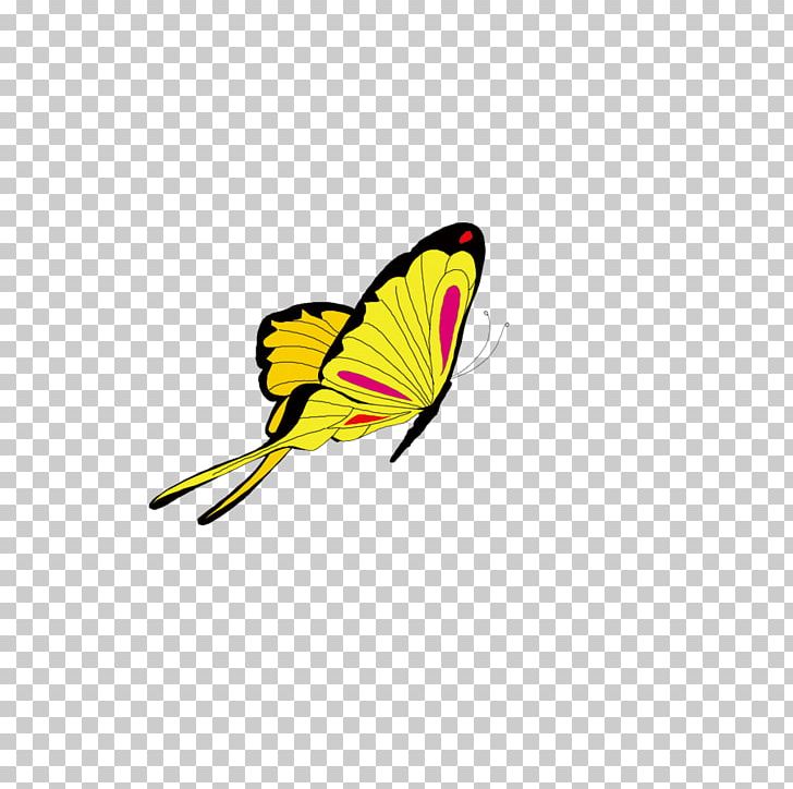 Animation PNG, Clipart, Animal, Animation, Blog, Blu, Brush Footed Butterfly Free PNG Download