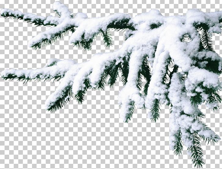Desktop PNG, Clipart, Animation, Branch, Christmas Tree, Collage, Conifer Free PNG Download