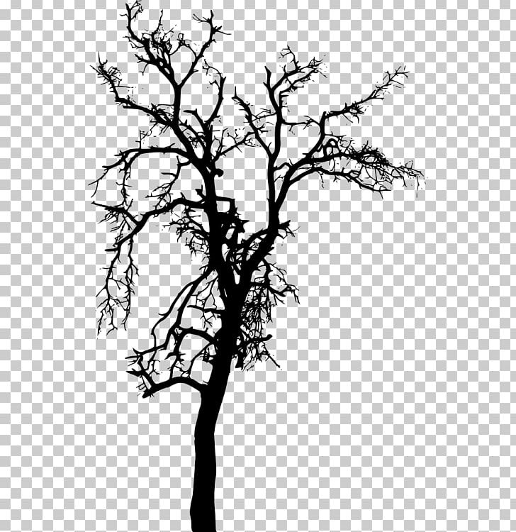 Silhouette Black And White Photography PNG, Clipart, Animals, Bare, Black And White, Branch, Download Free PNG Download