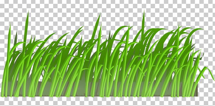Lawn PNG, Clipart, Artificial Turf, Commodity, Computer, Computer Icons, Desktop Wallpaper Free PNG Download