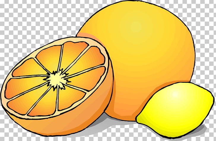 Lemon Orange Fruit PNG, Clipart, Area, Cartoon, Citrus, Flowering Plant, Food Free PNG Download