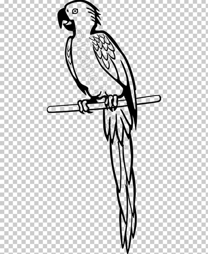 Blue-and-yellow Macaw Parrot Beak PNG, Clipart, Animals, Art, Artwork, Beak, Bird Free PNG Download