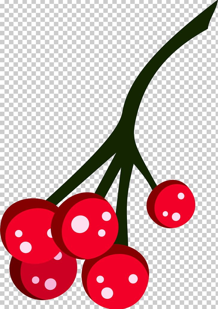 Cherry Fruit PNG, Clipart, Adobe Illustrator, Auglis, Branch, Cherry, Cherry Blossom Free PNG Download