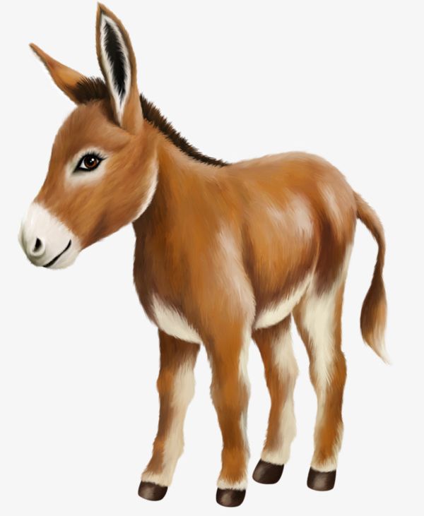 Donkey PNG, Clipart, Animal, Animal Themes, Brown, Cartoon, Cartoon Donkey Free PNG Download