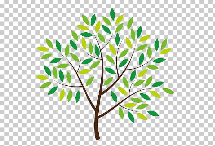 Flora Gardens Primary School National Primary School Education PNG, Clipart, Autumn Tree, Branch, Early , Family Tree, Garden Free PNG Download