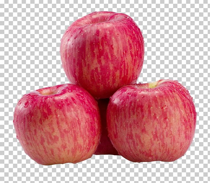 Paradise Apple Fuji Pink PNG, Clipart, Apple, Apple Fruit, Apple Logo, Apples, Apple Tree Free PNG Download