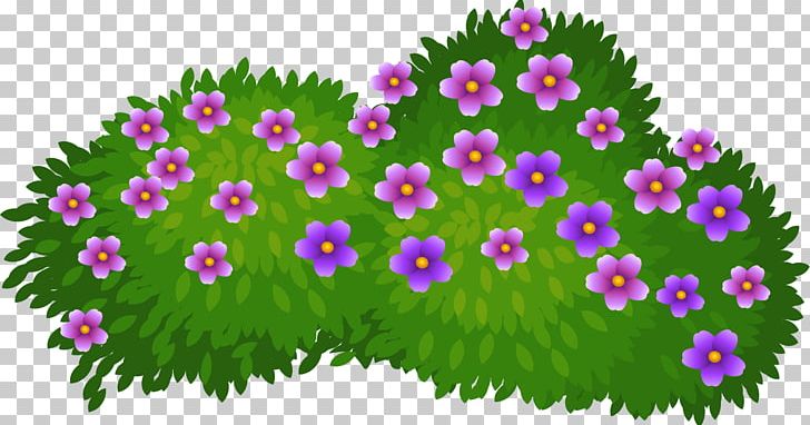Shrub Flower Drawing PNG, Clipart, Annual Plant, Background Green, Balloon Cartoon, Beds, Cartoon Eyes Free PNG Download