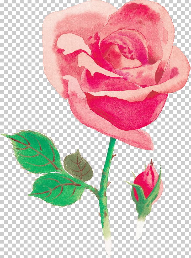 Beach Rose Cut Flowers Dabaocun Thorns PNG, Clipart, Artificial Flower, Beach Rose, Carnation, China, Cut Flowers Free PNG Download