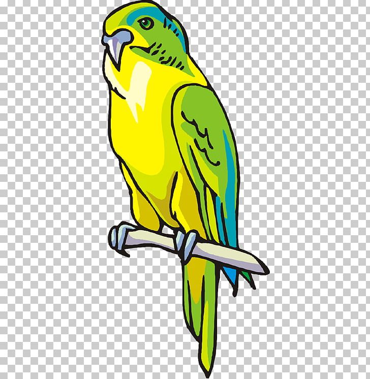 Budgerigar Macaw Parrot Parakeet PNG, Clipart, Animals, Artwork, Beak, Bird, Bluecrowned Parakeet Free PNG Download