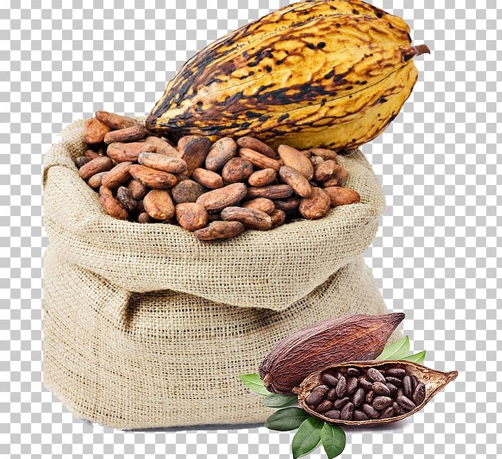Criollo Cocoa Bean Cocoa Solids Chocolate Liquor PNG, Clipart, Bean, Beanpowder, Cereal, Chocolate, Chocolate Liquor Free PNG Download