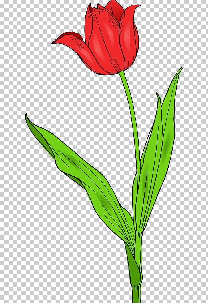 Tulipa Gesneriana Free Content Flower PNG, Clipart, Color, Cut Flowers, Flora, Floristry, Flower Free PNG Download