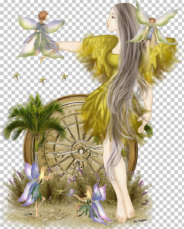 Fairy Mondo Di Fate PNG, Clipart, Border, Bust, Collectable Trading Cards, Fairy, Fantasy Free PNG Download