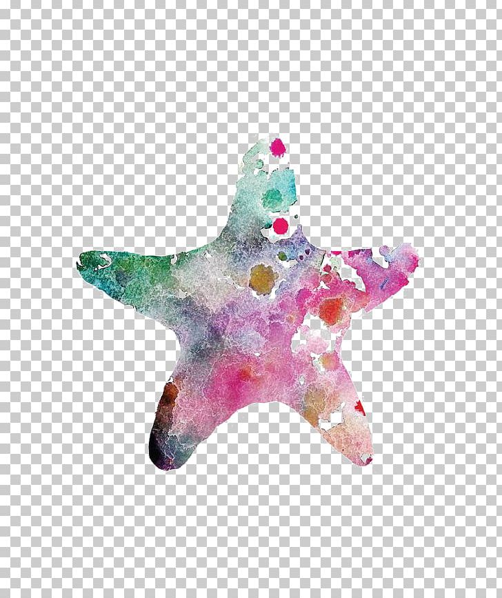 Starfish Watercolor Painting Drawing PNG, Clipart, Animals, Art, Beautiful Starfish, Cartoon Starfish, Christmas Ornament Free PNG Download