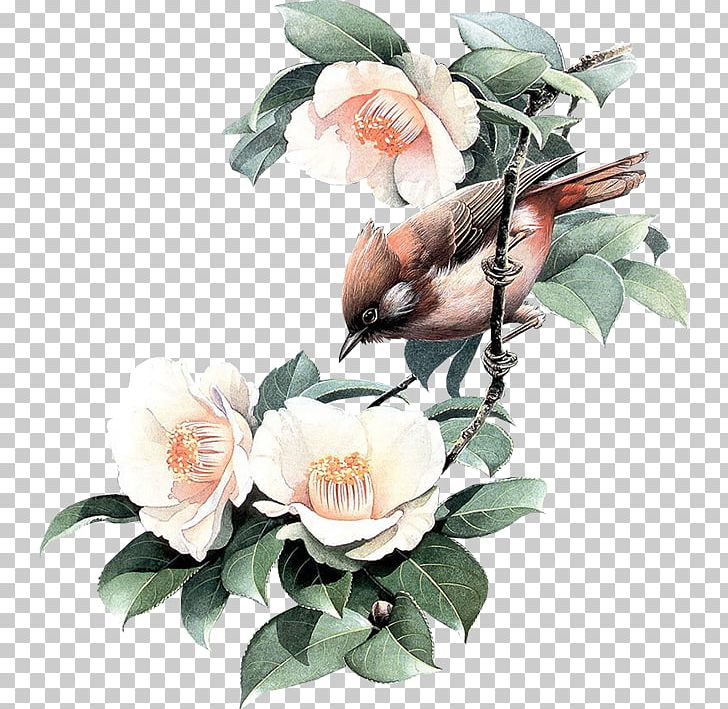 Beautiful Bird and Flower Drawing Sketch in Color · Creative Fabrica