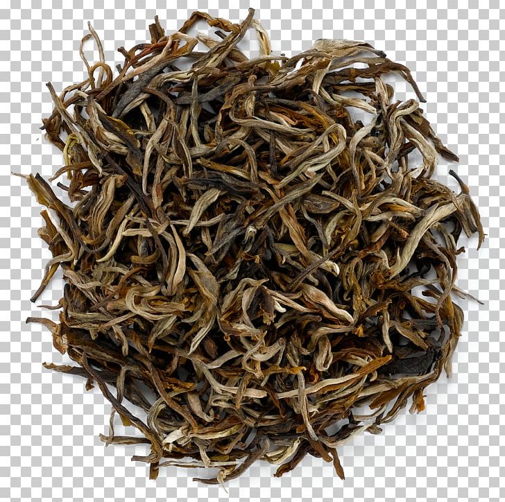Darjeeling Tea Nilgiri Tea White Tea Dianhong PNG, Clipart,  Free PNG Download