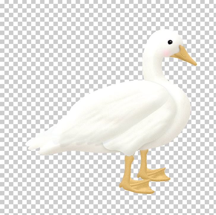 Duck With Not Bulletproof Goose Cygnini PNG, Clipart, Android, Animal, Animals, Beak, Bird Free PNG Download