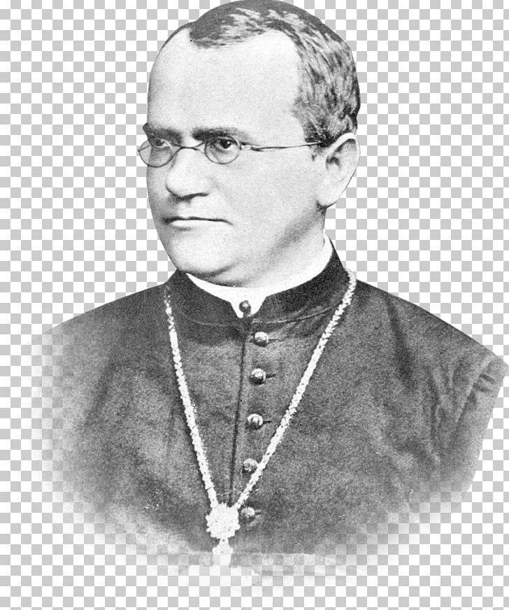 Gregor Mendel St Thomas's Abbey PNG, Clipart, Allele, Auxiliary Bishop, Black And White, Character Structure, Classical Genetics Free PNG Download