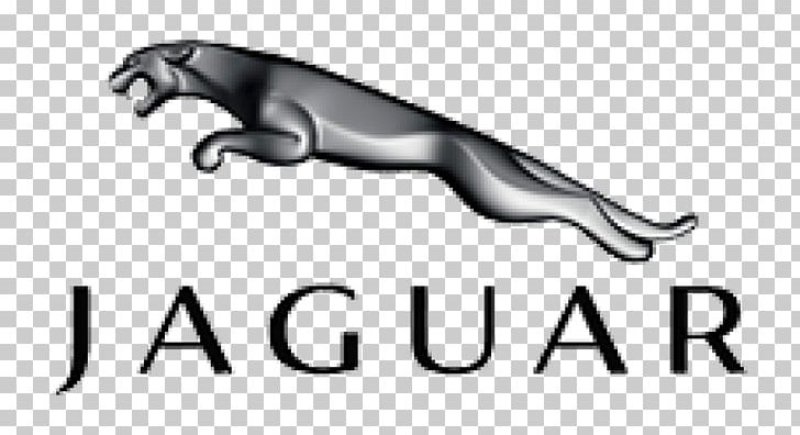 Jaguar Cars Jaguar F-Type Jaguar XK PNG, Clipart, 2014 Jaguar Xf, Angle, Animals, Black And White, Brand Free PNG Download
