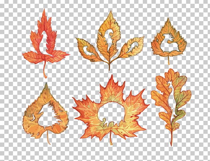 Leaf Illustration PNG, Clipart, Autumn, Autumn Tree, Autumn Vector, Cartoon, Cartoon Leaves Free PNG Download