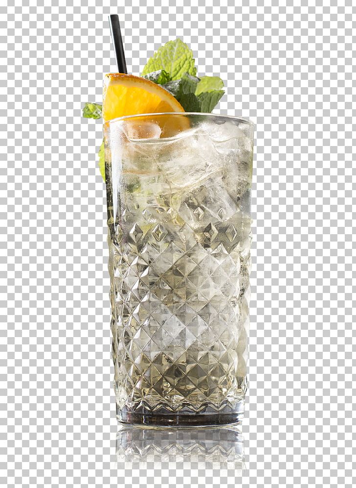 Mint Julep Gin And Tonic Cocktail Garnish Vodka Tonic Tonic Water PNG, Clipart, Alcoholic Drink, Cocktail, Cocktail Garnish, Drink, Food Drinks Free PNG Download
