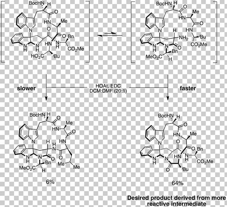 Stereochemistry Of Carbon Compounds Curtin–Hammett Principle Griseofulvin Enantioselective Synthesis Chemical Reaction PNG, Clipart, Angle, Antifungal, Area, Asymmetric Carbon, Auto Part Free PNG Download
