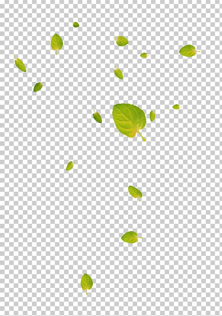 Leaf Google S Deciduous PNG, Clipart, Angle, Area, Art, Background Green, Cartoon Free PNG Download