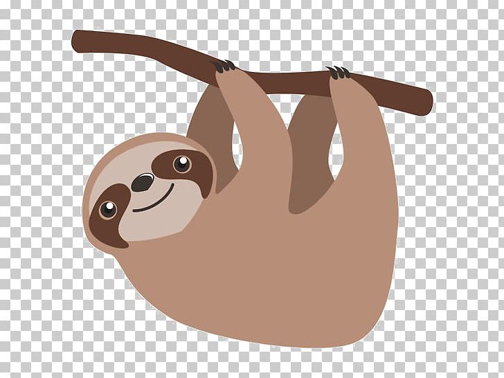 Sloth Cuteness Cartoon Illustration PNG, Clipart, Animal, Brownthroated Sloth, Carnivoran, Cartoon, Cuteness Free PNG Download