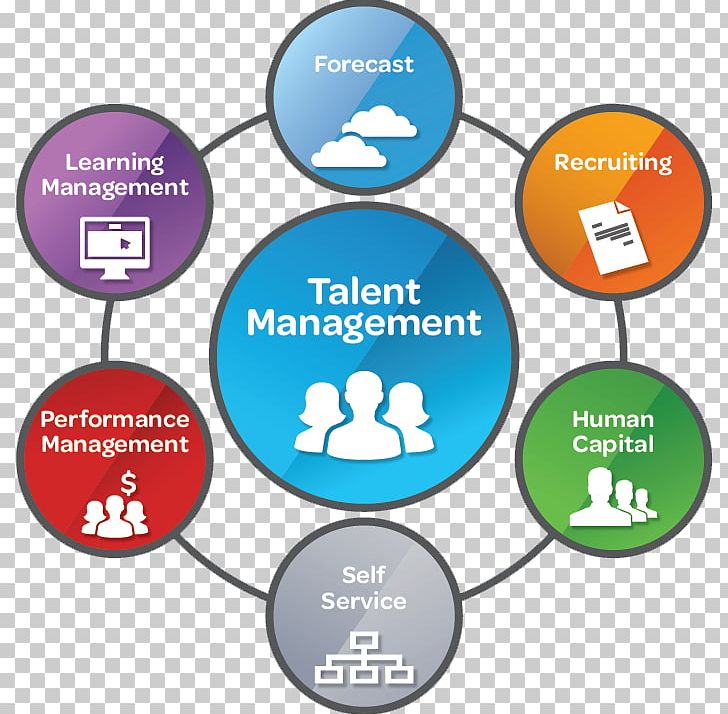 Talent Management System Stambaugh Ness Business PNG, Clipart, Best Practice, Brand, Business, Environmental, Human Resource Free PNG Download