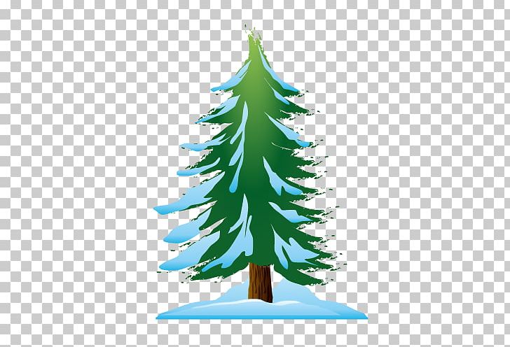 Cedar Pine Snow PNG, Clipart, Christmas Decoration, Conifer, Download, Euclidean Vector, Happy Birthday Vector Images Free PNG Download