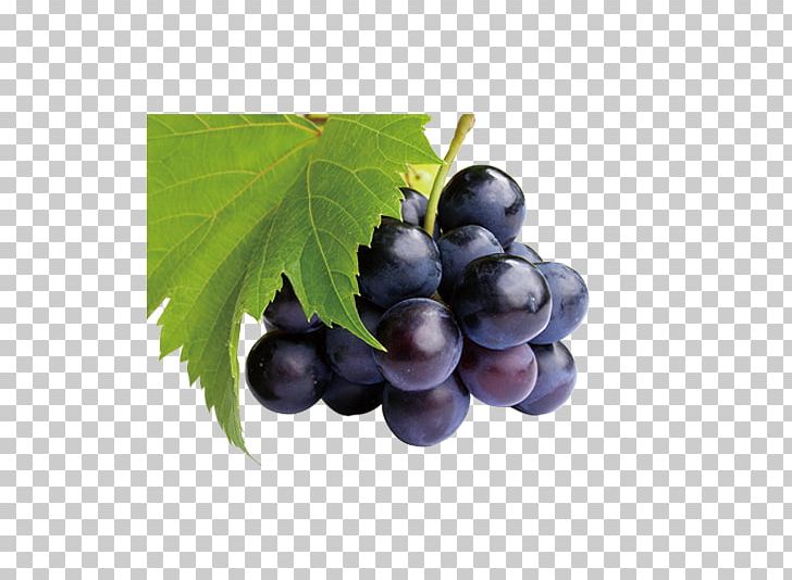 Juice Common Grape Vine Frutti Di Bosco Fruit PNG, Clipart, Background Black, Black, Black Board, Black Friday, Black Hair Free PNG Download