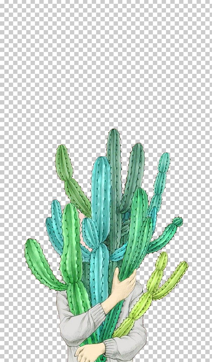 Taobao Tmall Cactaceae Illustration PNG, Clipart, Art, Botany, Cactus Cartoon, Cactus Flower, Cactus Watercolor Free PNG Download