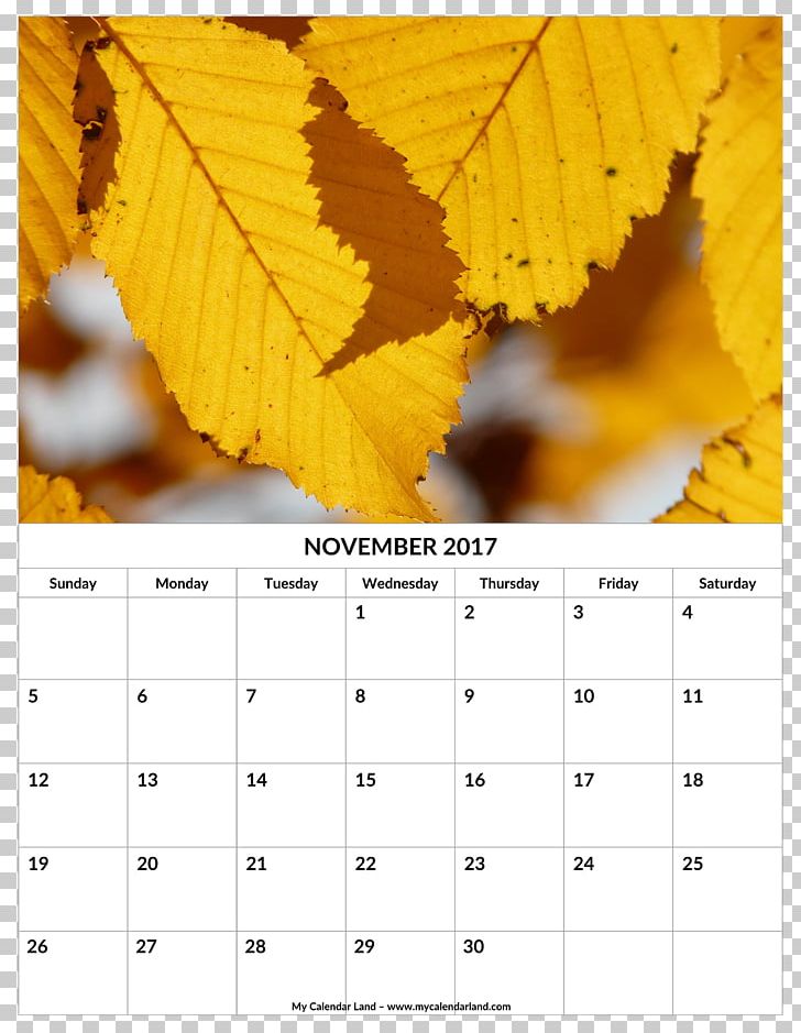 European Hornbeam November Month European Beech PNG, Clipart, 2018, Autumn, Beech, Calendar, European Beech Free PNG Download