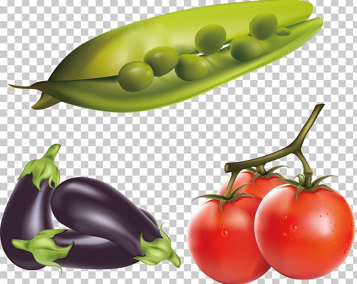 Eggplant Tomato PNG, Clipart, Cartoon, Chili Pepper, Diet Food, Drawing, Food Free PNG Download