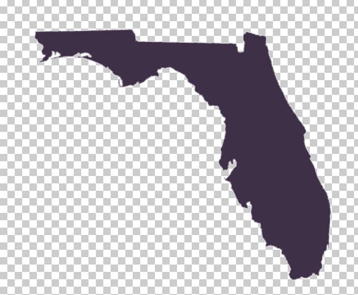 Florida Map PNG, Clipart, Angle, Beach Sand, Black, Black And White, Blank Map Free PNG Download