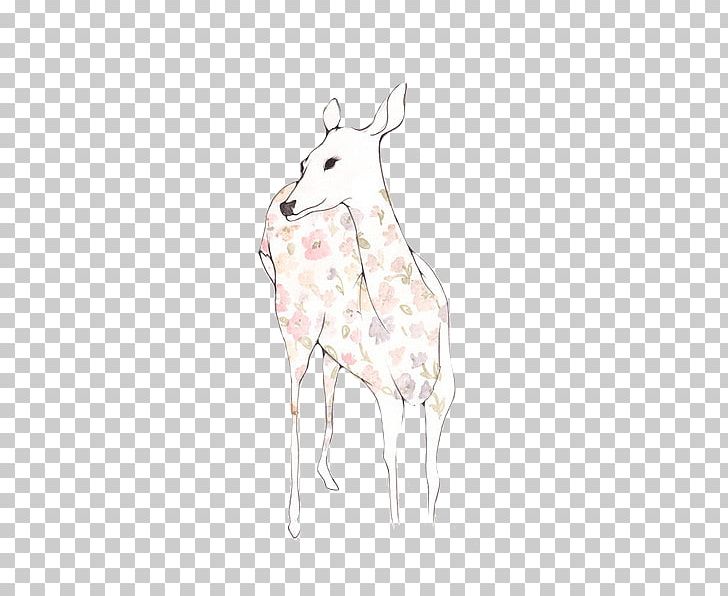 Giraffe Reindeer Horse Hare Fauna PNG, Clipart, Animal, Animals, Antler, Deer, Drawing Free PNG Download