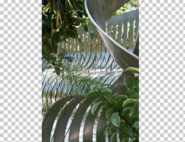 Leaf Fence Tree Houseplant PNG, Clipart, Fence, Flora, Grass, Houseplant, Leaf Free PNG Download