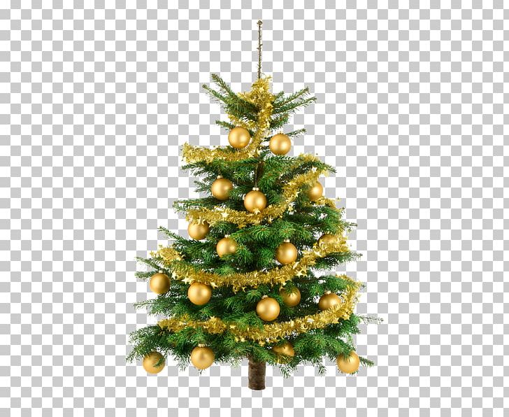 Christmas Tree Gift Fir PNG, Clipart, Biblical Magi, Christmas, Christmas Decoration, Christmas Ornament, Christmas Tree Free PNG Download