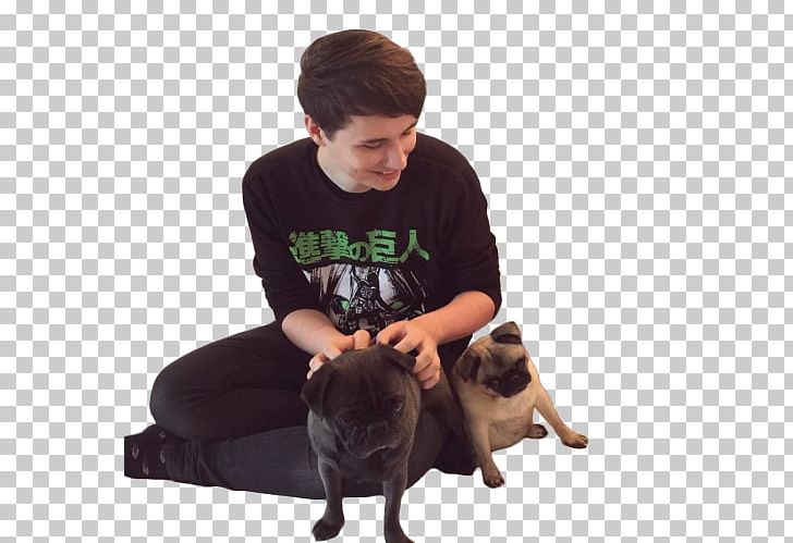 Doug The Pug Dan And Phil The Amazing Book Is Not On Fire YouTube PNG, Clipart, Alfie Deyes, Amazing Book Is Not On Fire, Animal, Carnivoran, Dan And Phil Free PNG Download