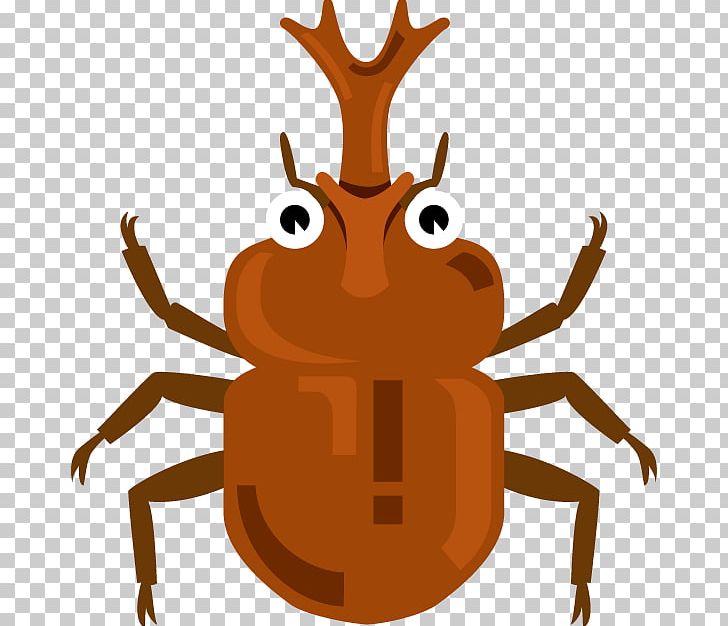 Insect Crab Japanese Rhinoceros Beetle PNG, Clipart, Amphibian, Animals, Beetle, Crab, Decapoda Free PNG Download