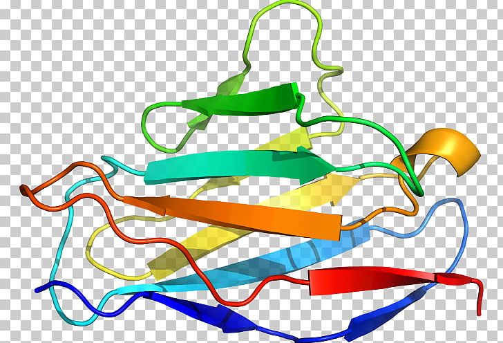 Line Point PNG, Clipart, Area, Art, Line, Point, Schizosaccharomyces Pombe Free PNG Download