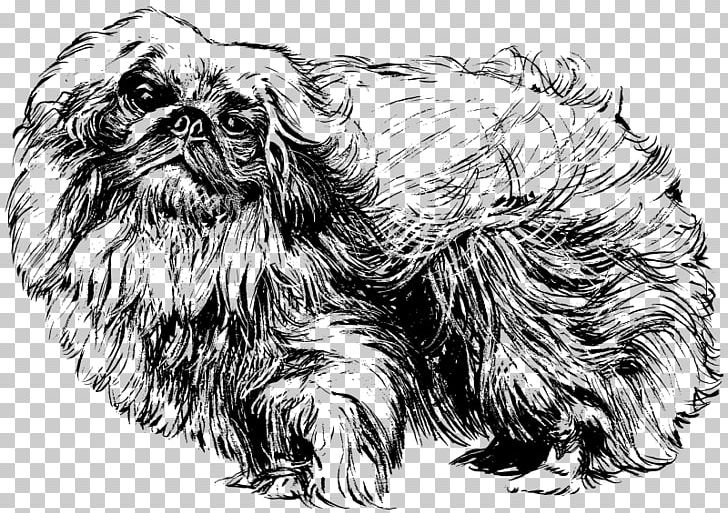 Pekingese T-shirt Maltese Dog Pug Hoodie PNG, Clipart, Black And White, Carnivoran, Clothing, Dog, Dog Breed Free PNG Download