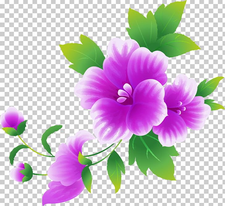 Pink Flowers Rose PNG, Clipart, Annual Plant, Blue, Cicek Resimleri, Download, Drawing Free PNG Download