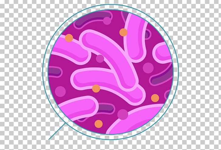 Coliform Bacteria Sulfur-reducing Bacteria PNG, Clipart, Archive File, Bacteria, Circle, Citrobacter, Coliform Bacteria Free PNG Download